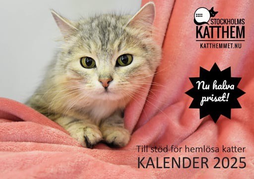 Stockholms Katthem Kalender 2025 Rea