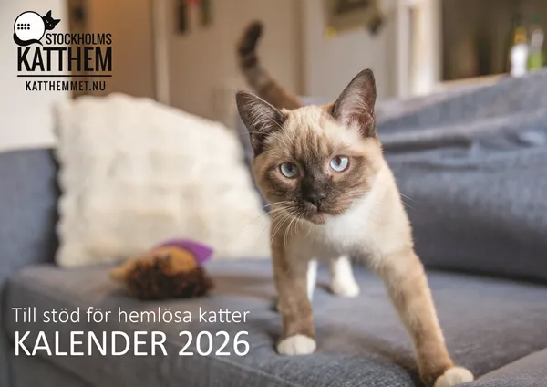 Stockholms Katthems kalender 2026