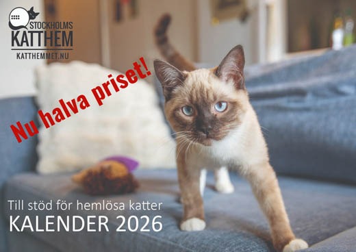 Kalender 2026x