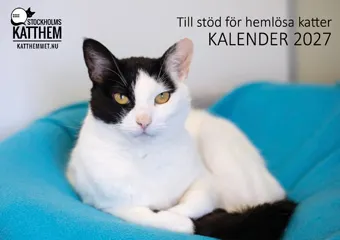 Kalender 2027 FRAMSIDAN - 340