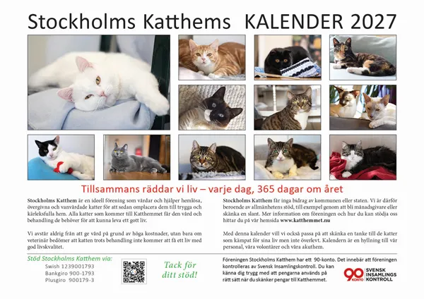 Kalender 2027 BAKSIDAN -520