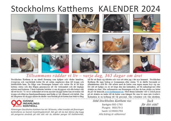 2024 Kitty Kalender, 2024 Väggkalender, Kattkalender, 2024 Väggplanerare  2024 f711, 2024