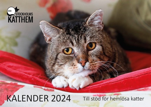 Stockholms Kattkalender 2024 512_362