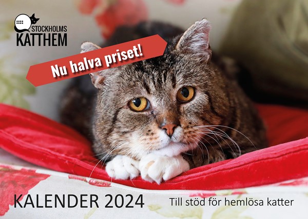 Stockholms Kattkalender 2024 Framsidan REA