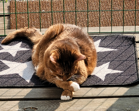 Pippi 2_minneslund 4