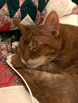 Pippi 2_minneslund