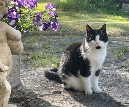 Mårten_minneslund 3
