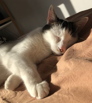 Henry 2 dec 24-4