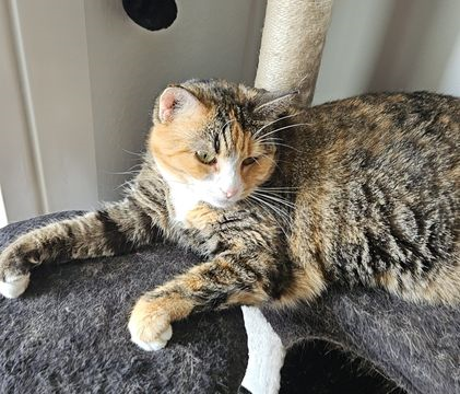 Sadie_minneslund 2