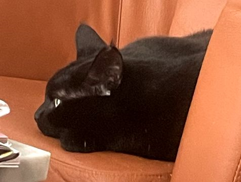 Orin jan 25-2