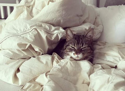 Nilli_minneslund 2