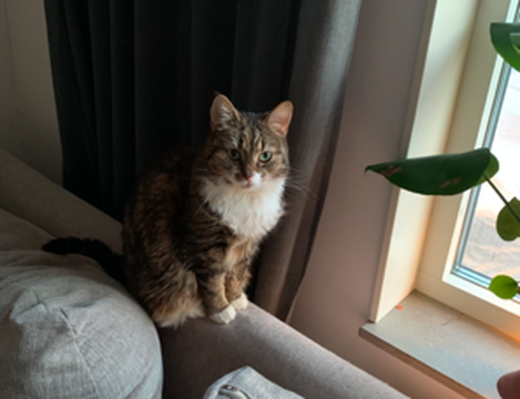 Nilli_minneslund 3