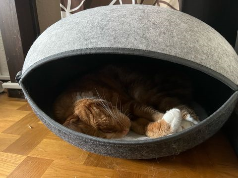 Fidget juli 25-2
