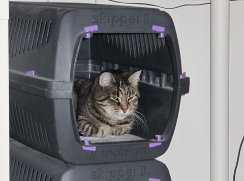 Cabrini_minnesllund 3