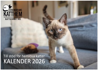 Stockholms Katthem Kalender 2025 REA 340