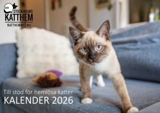 Kalender 2026_340