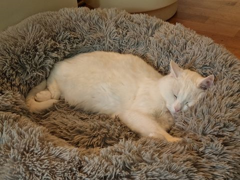 Hasse-Bosse sep 25-2