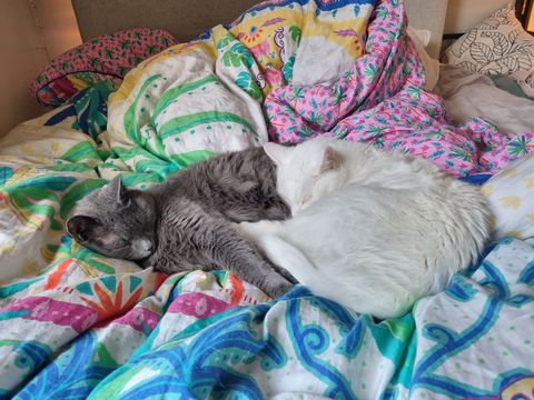 Hasse-Bosse sep 25-3