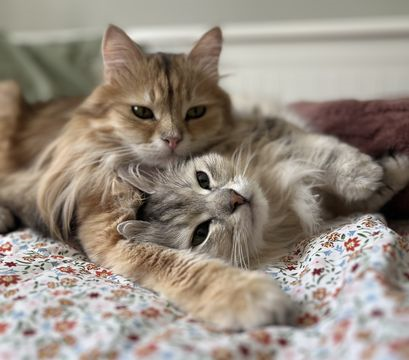 Piotr-Ekaterina sep 25-2