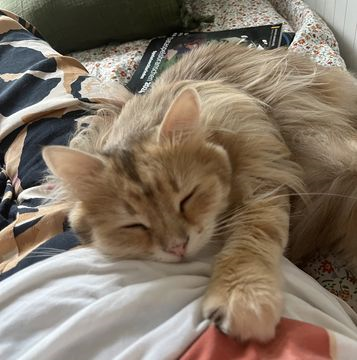 Piotr-Ekaterina sep 25-3