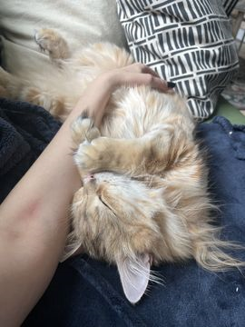 Piotr-Ekaterina sep 25