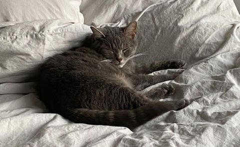 Arch-Alberic okt 25-3