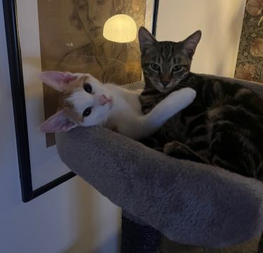 Birim-Astilbe okt 25