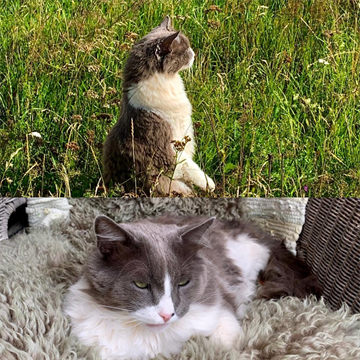 1C77B703-F4FB-4A2B-88A0-37EFBA7ADEE8