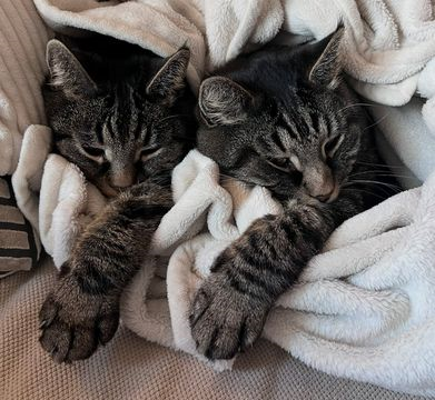 Ben & Timothy dec 25-2