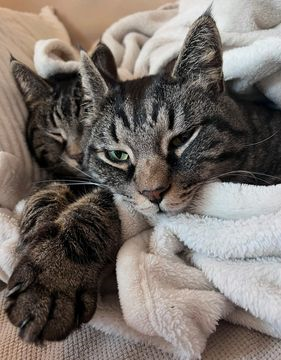 Ben & Timothy dec 25-3