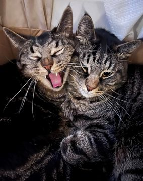 Ben & Timothy dec 25-4