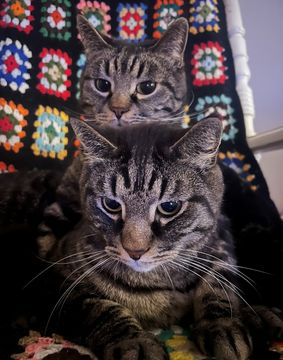 Ben & Timothy dec 25