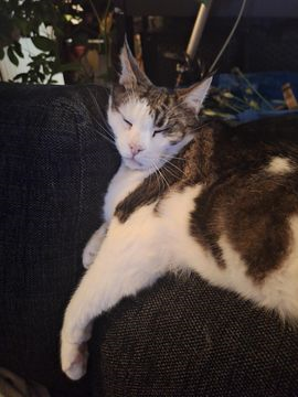 Nathaniel_minneslund 2