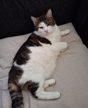 Nathaniel_minneslund 3