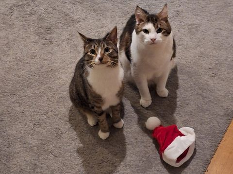 Nathaniel_minneslund