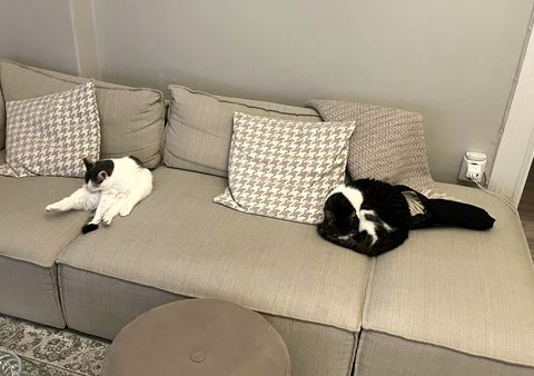 Nasia-Twain jan 26-4