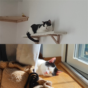 7502D9C5-9DC7-4964-B773-371FCC5A7A12