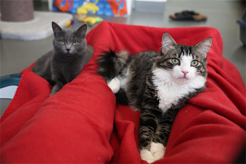 Lilla Fluff_Piombo_red