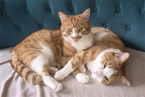 Corwin_Erwin (3)_red