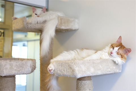 Harper_Boris (9)_red