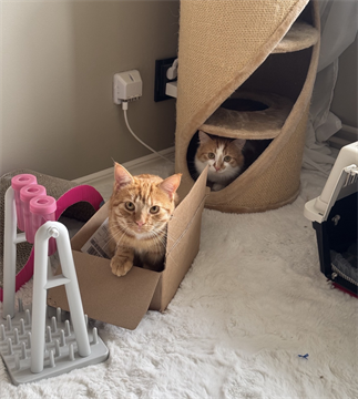 IMG_3211