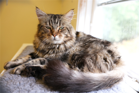 Bernt (9)_red