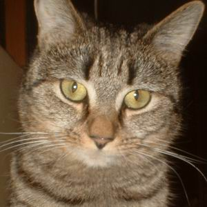 Tina