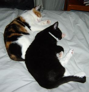 Roxie o Ruthie