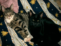 Afrodite och Sture