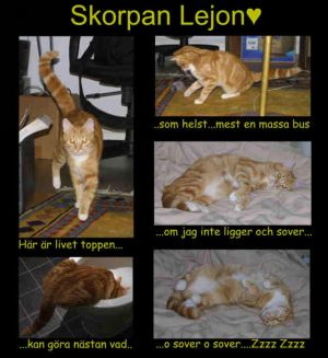 Skorpan Lejonhjärta