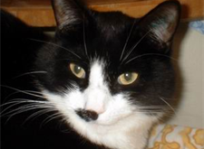 Micke