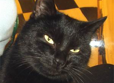 Mimmi 2