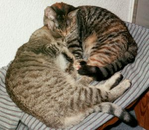 Tanja och Tanjana