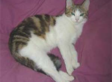 Jutta 2